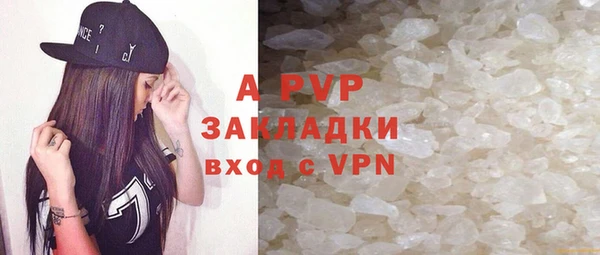 твердый Арсеньев