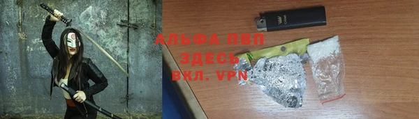 твердый Арсеньев