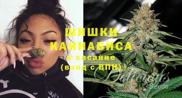 твердый Арсеньев