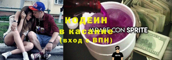 твердый Арсеньев